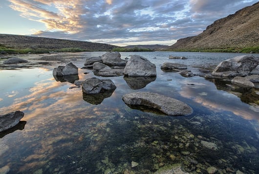 Man Bites Dog – Idaho Repeals its Regulatory Code